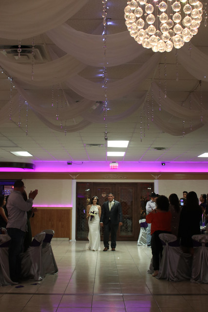 IMG-3481