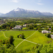 IMG-0695-2