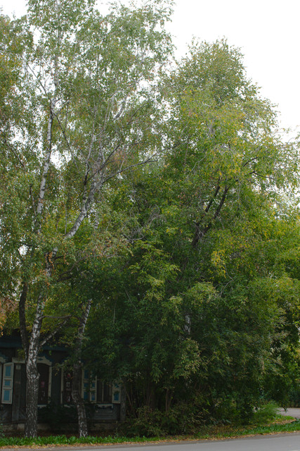DSCF2122