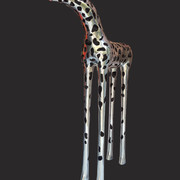 ecvus α