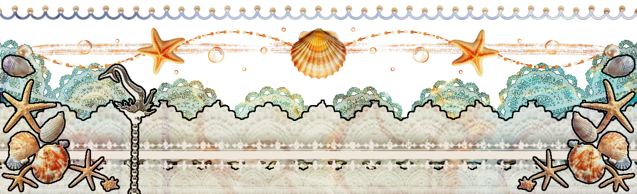 seashelldividerbottom