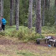 IMG 4496