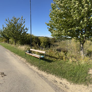 IMG-0309