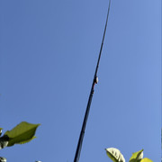 IMG 7595