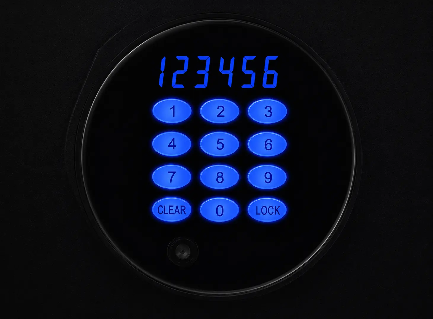 LCD display screen and backlit digital keypad