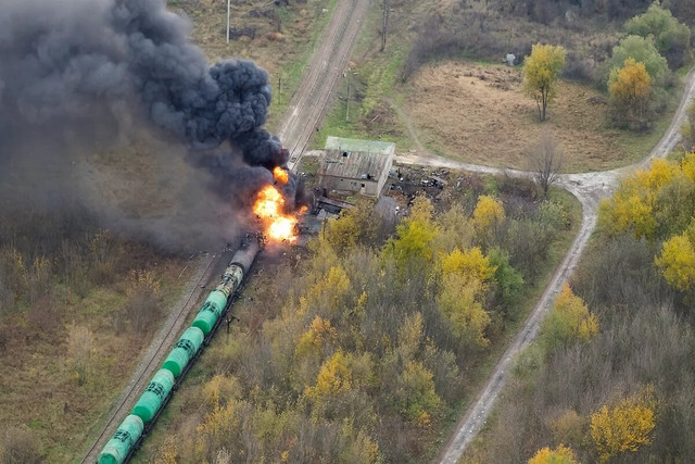https://i.ibb.co/nqVCVnpb/scale-1200.jpg