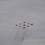 DSC00915