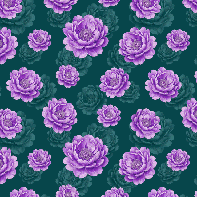 4.gif