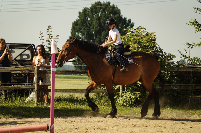 DSC03595.jpg