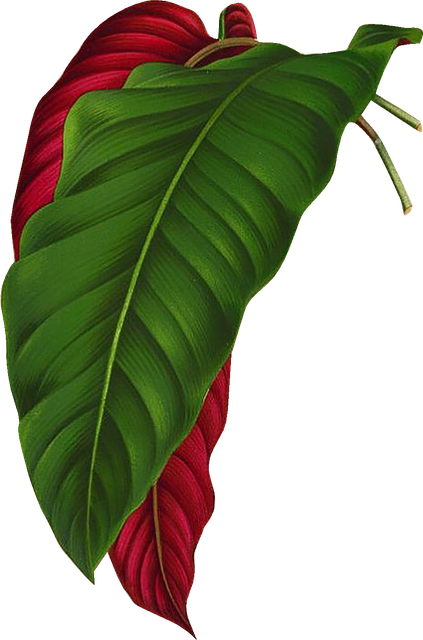 72d9113cb197fbeb4dc934771acdcf3f.png