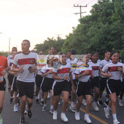 IMG-0390