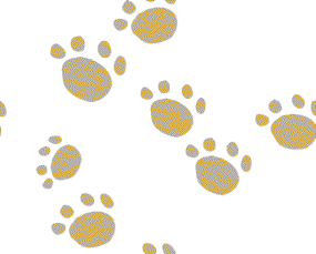 IMG-5400.png
