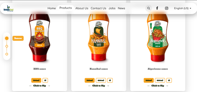 Website 5