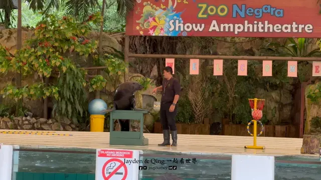 Zoo Negara13.webp