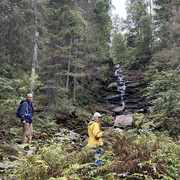 IMG 4462