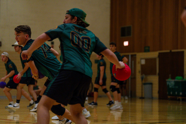 DSC04847.jpg