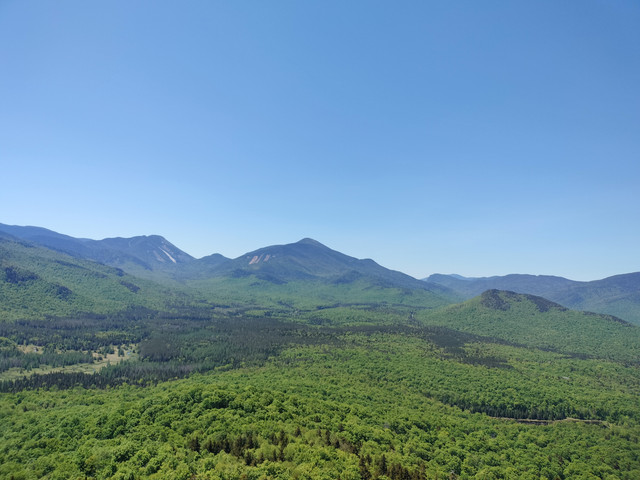 View1