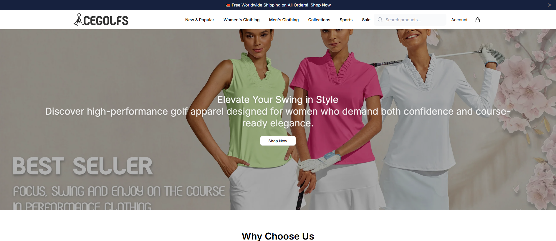 Stored capture of acegolfsonline.shop