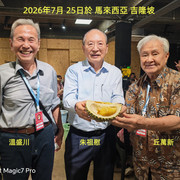 V副本