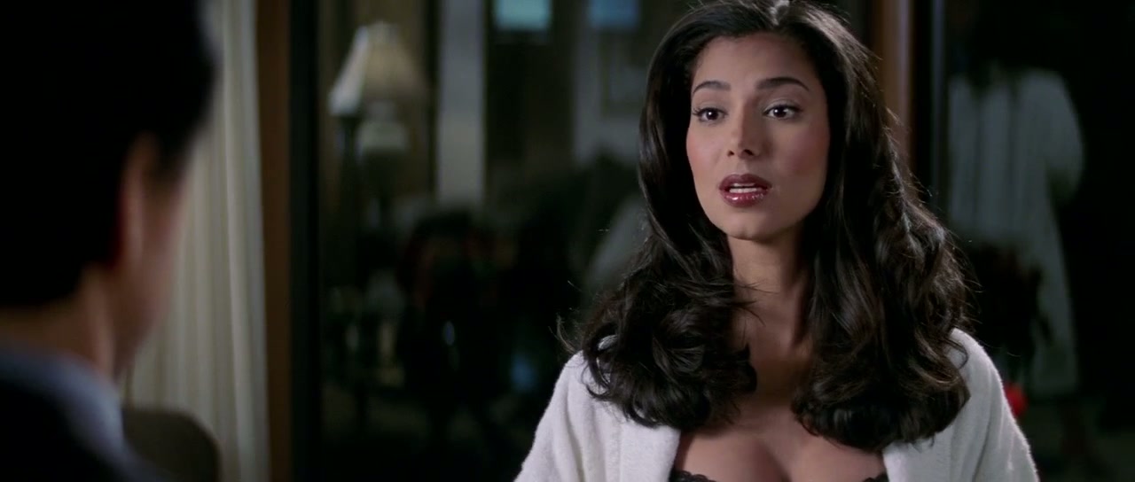 Rush Hour 2 Screenshot