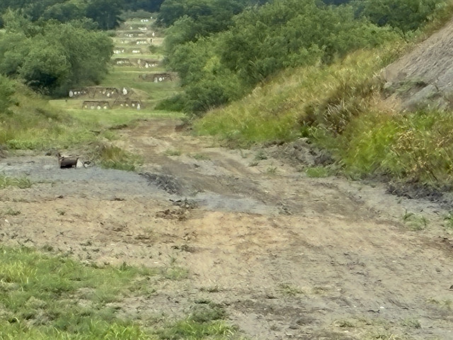 IMG 3089.jpg
