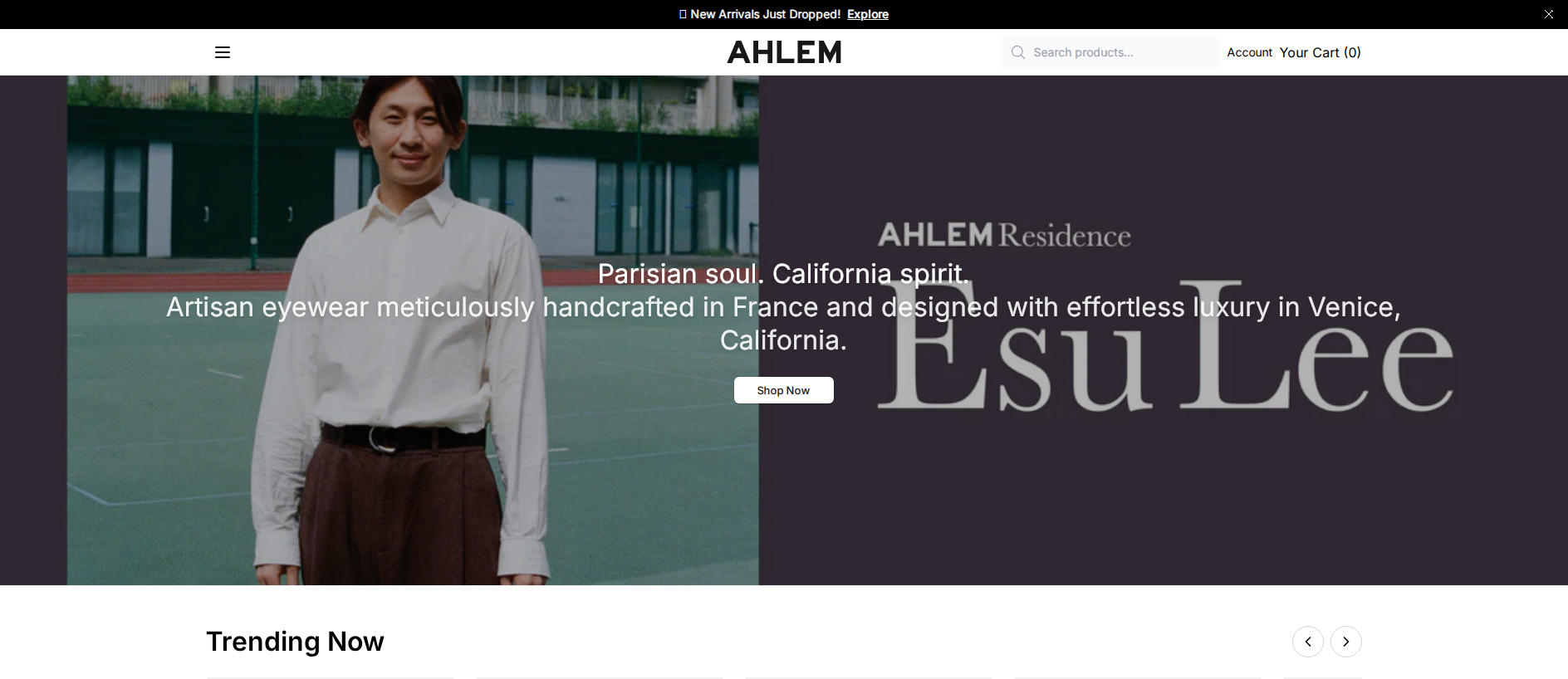 Stored capture of ahlemvibe.shop