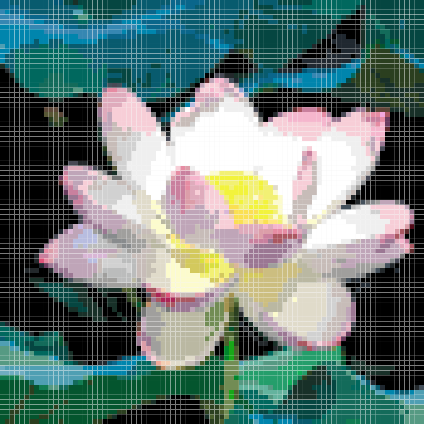 Sunlit Pink-White Lotus Flower Pixel Art Perler Be