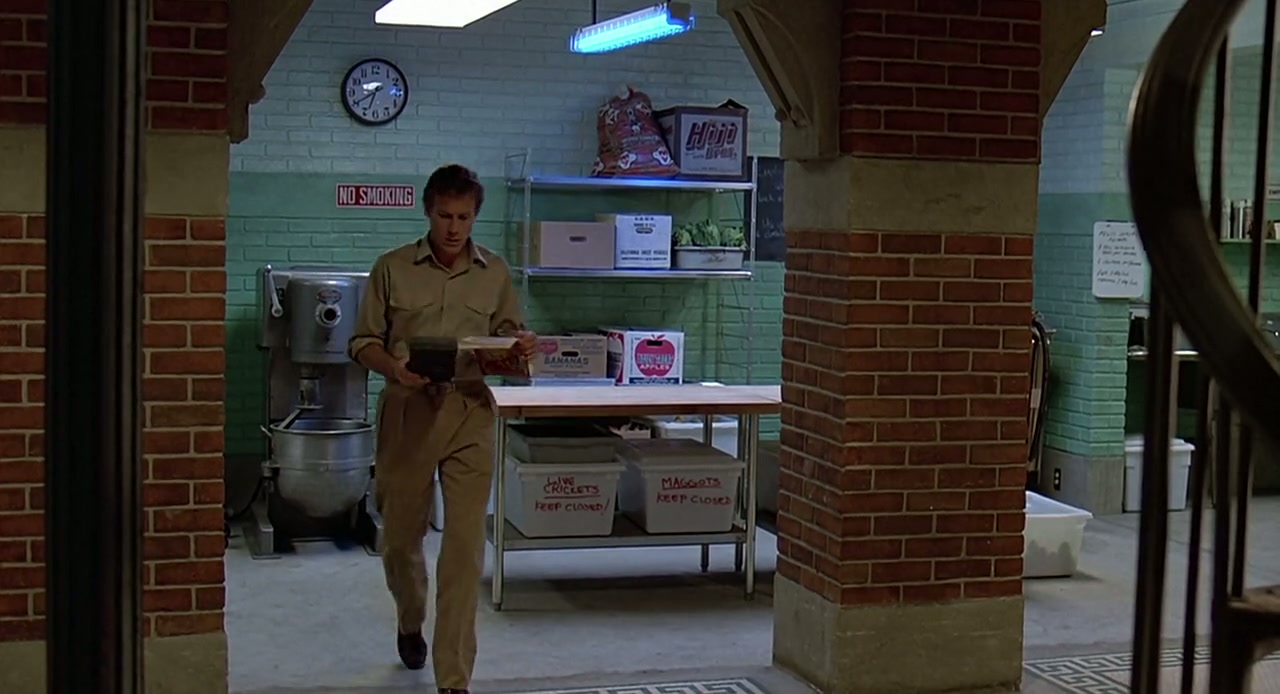 Cat People Screenshot