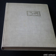 IMG-3538