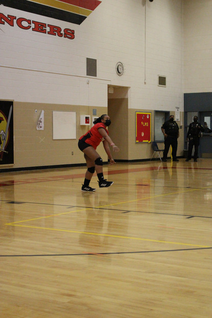IMG-0041