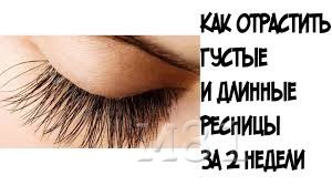 красивые глаза и брови красивые глаза и брови