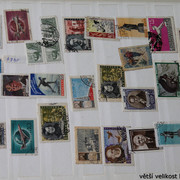 IMG-3015