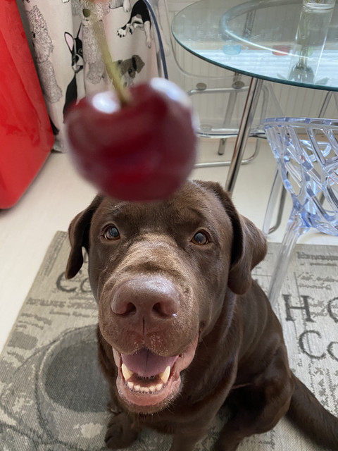 4-F78-DDD1-3-AA2-45-D9-8719-2-B066-CBEA5