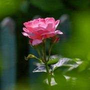 DSC-1891-edited