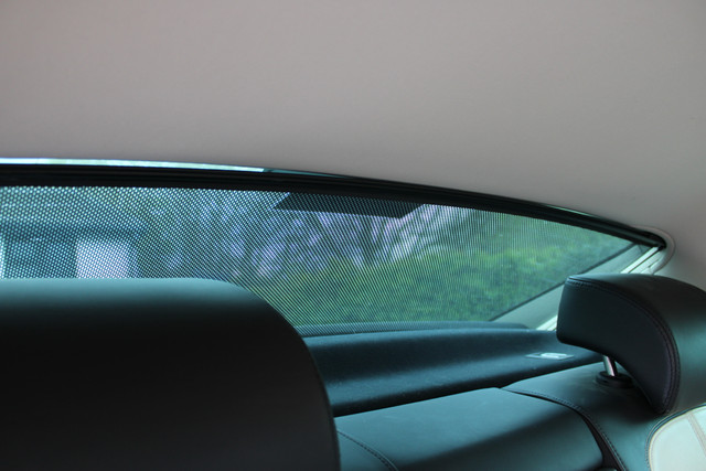 IMG-4330.jpg