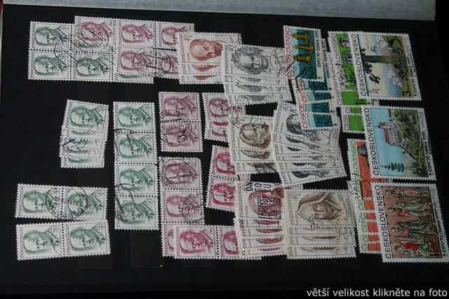 IMG-7023.jpg