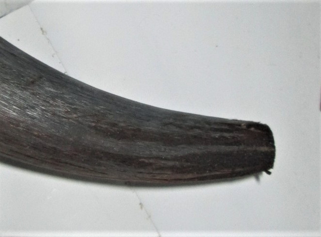 IMG-1823-2