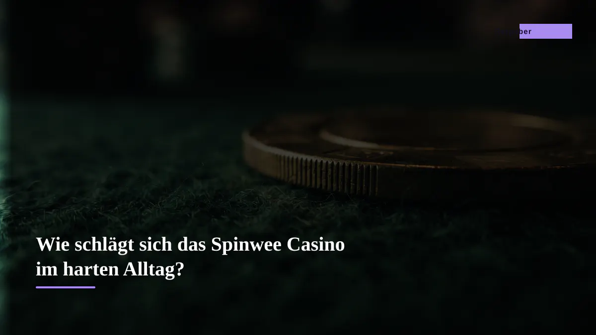 Wie schlägt sich das Spinwee Casino im harten Alltag?