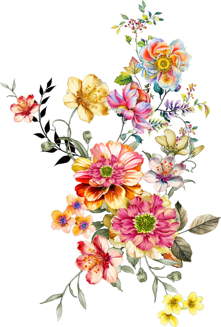 b74d3ef588b2bac109fe24e640c2ddf0.png