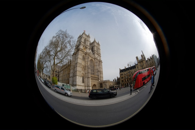 DSCF8864.jpg