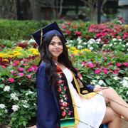 IMG 4264