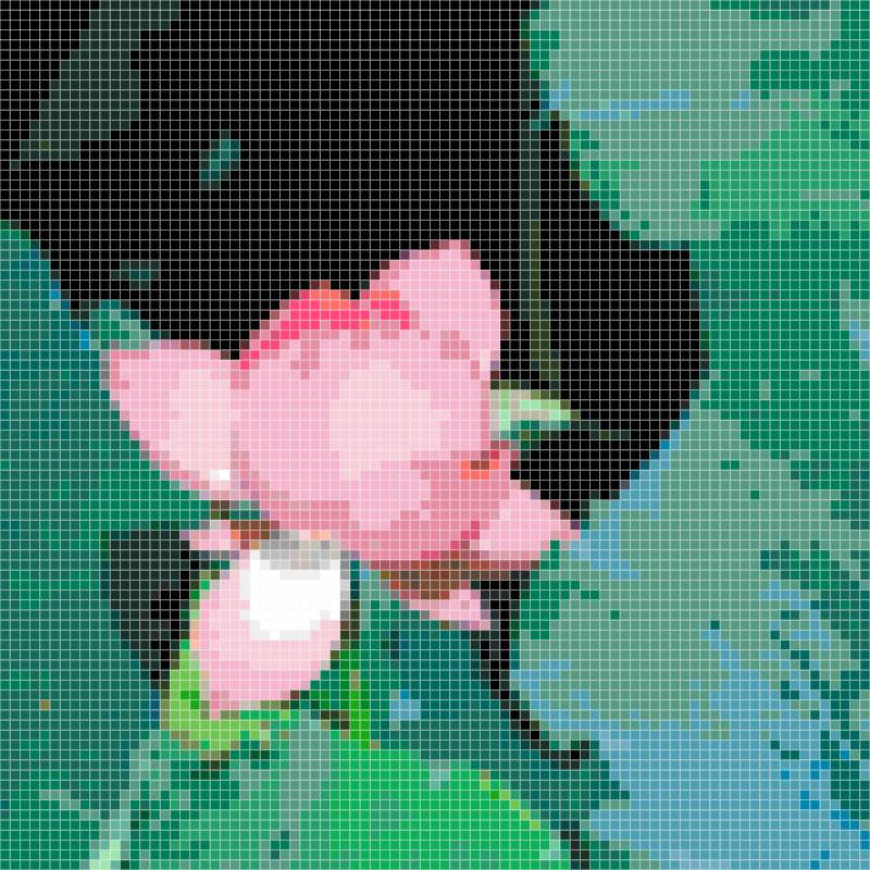 Serene Pink Lotus Bud Pixel Art Perler Bead Patter