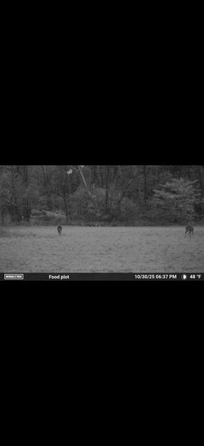 IMG-7891