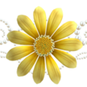 0-99183-4fddebd-M