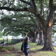 IMG-0506