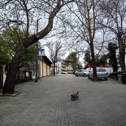 IMG-20250418-111829