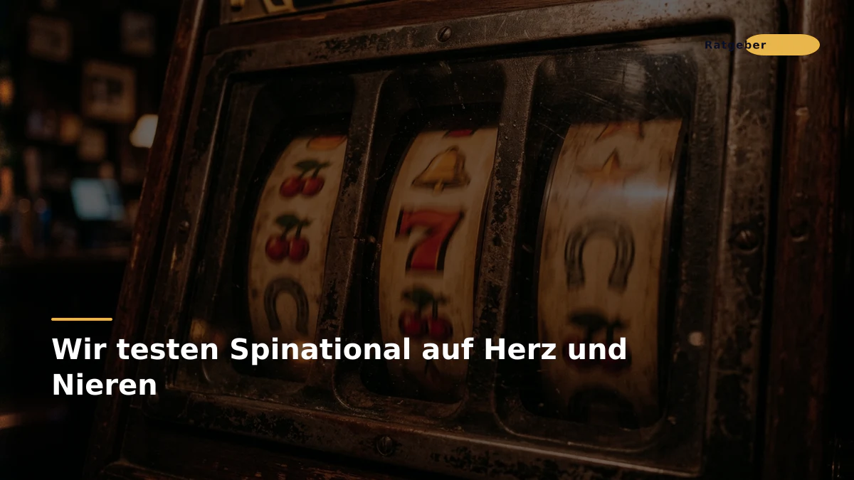 Wir testen Spinational auf Herz und Nieren