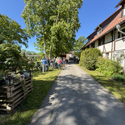 IMG 3314