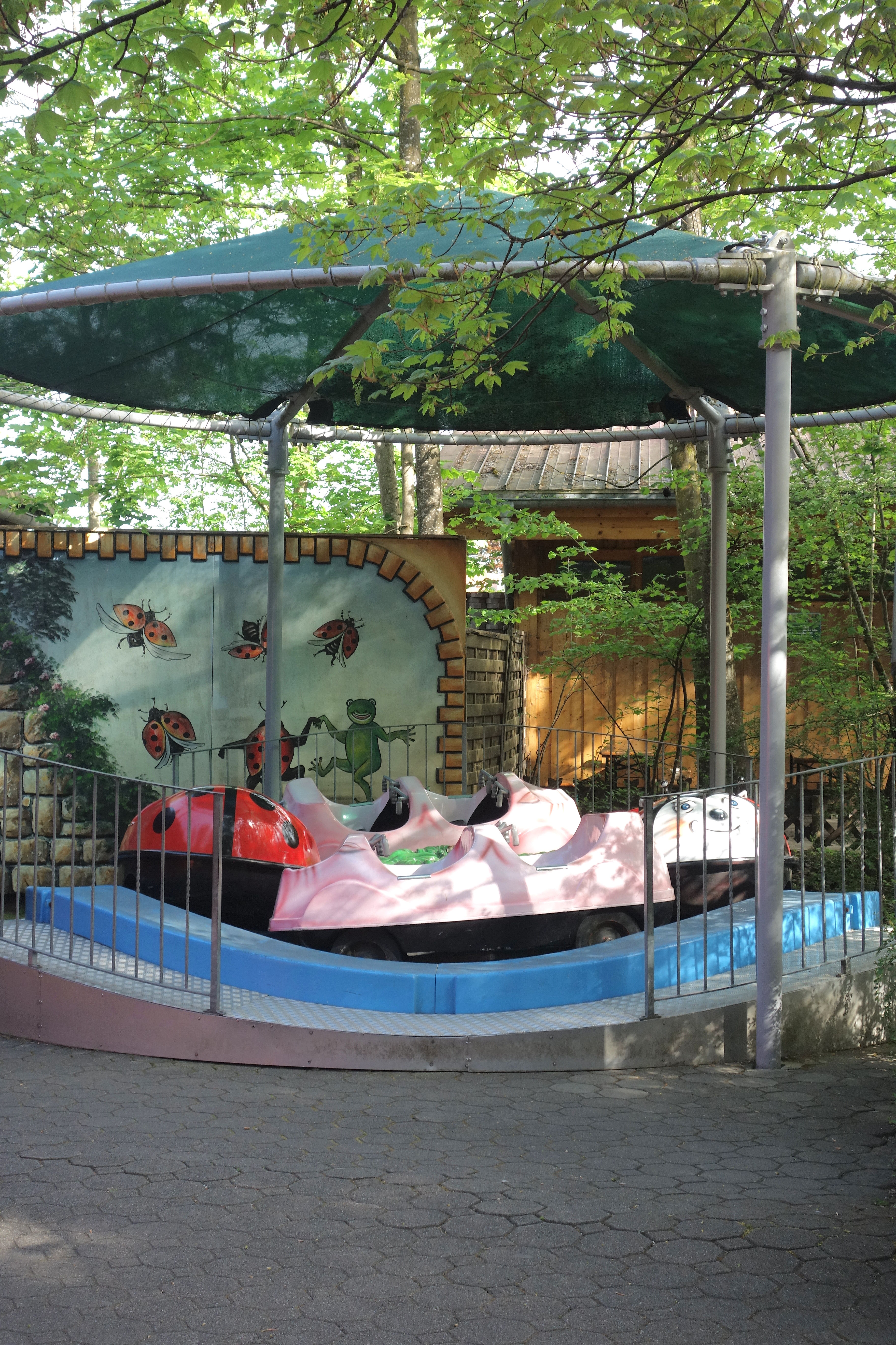 DSC07349