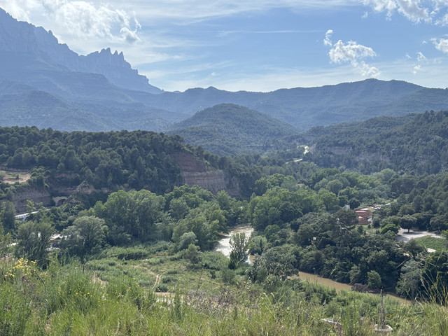 IMG-1764
